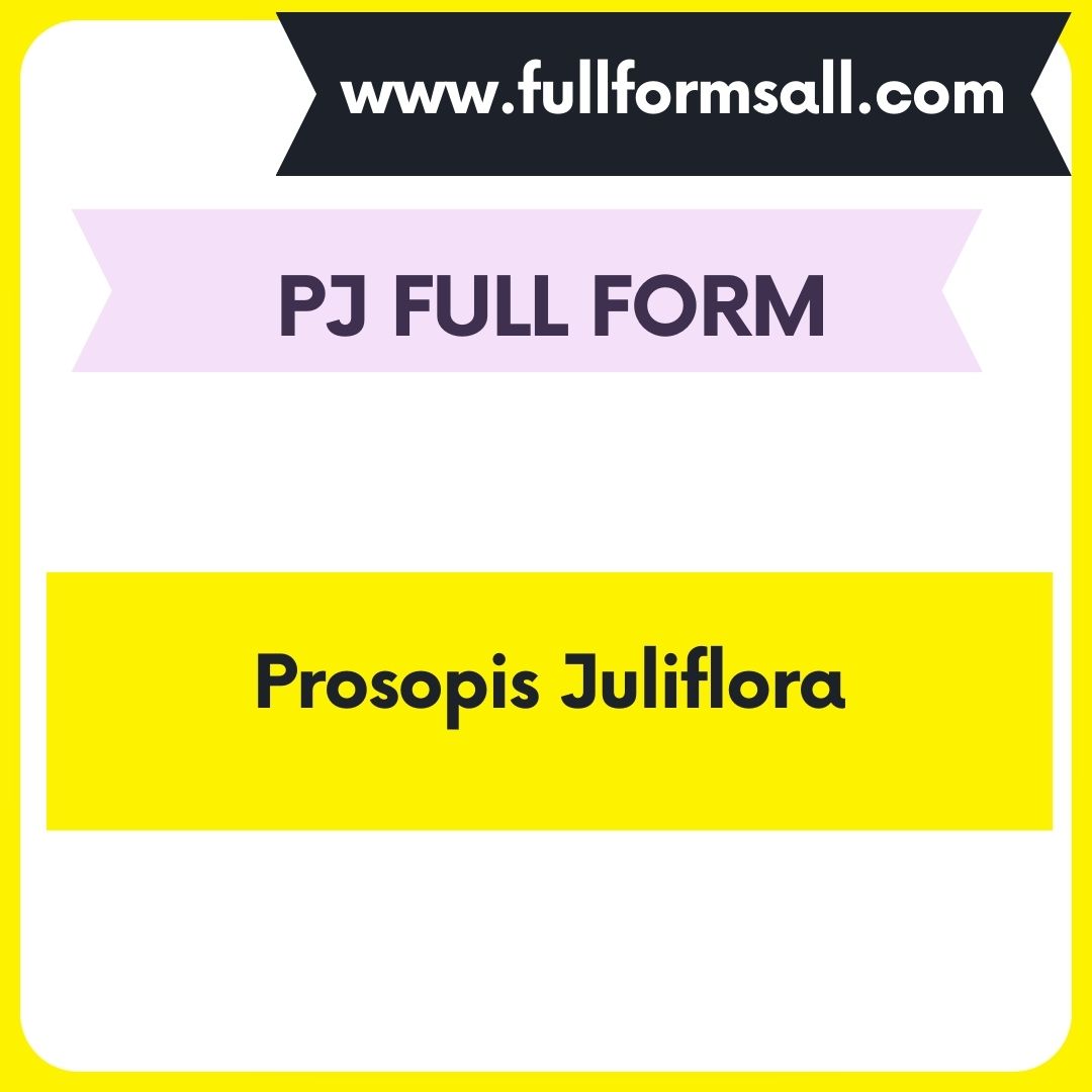 PJ FULL FORM 